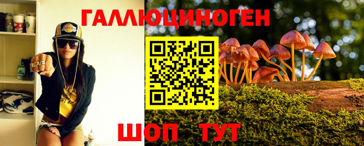 Галлюциногенные грибы прущие грибы Электрогорск